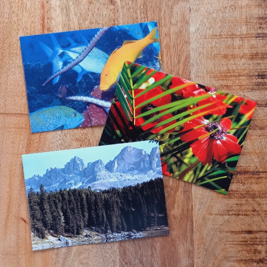 Afbeeldingen van Enveloppen Mix Natuur