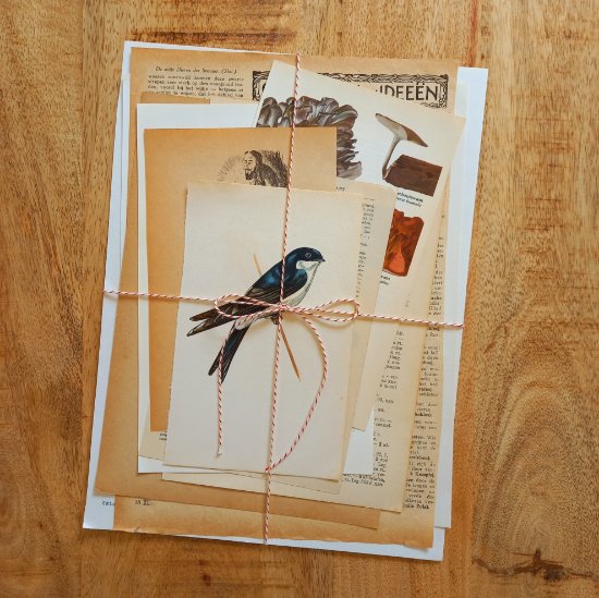 Afbeeldingen van Papierbundel Vintage Divers