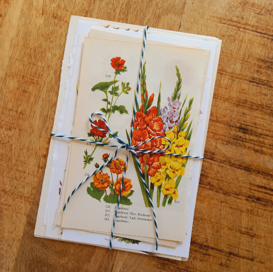 Afbeeldingen van Vintage Papierbundel Natuur