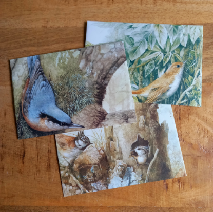 Afbeeldingen van Enveloppen Mix Vogels Marjolein Bastin