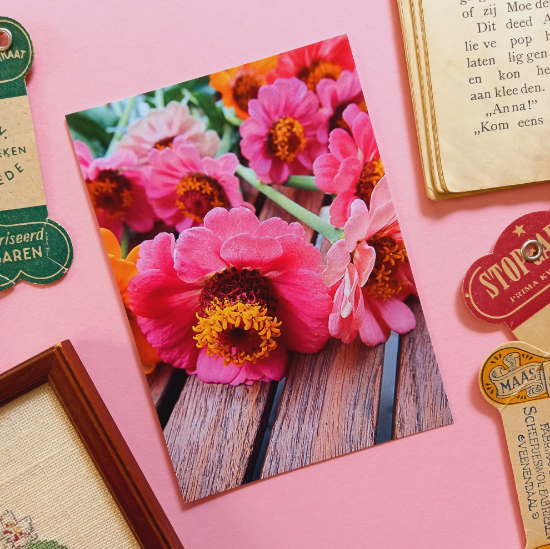 Afbeeldingen van Kaart Zinnia's op Tafel