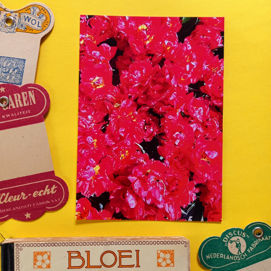 Afbeeldingen van Kaart Roze Bloemenveld