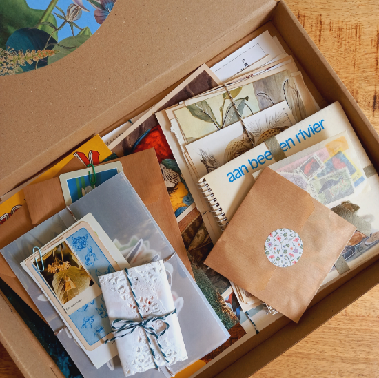 Afbeeldingen van Vintage Box Natuur