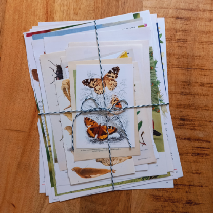 Afbeeldingen van Vintage Papierbundel Natuur